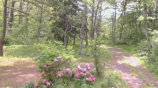 長野県菅平高原 ゆたか山荘 坂上 2026/05/26 08:45