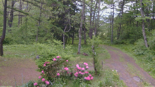 長野県菅平高原 ゆたか山荘 坂上 2026/05/26 09:30