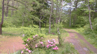 長野県菅平高原 ゆたか山荘 坂上 2026/05/26 12:45