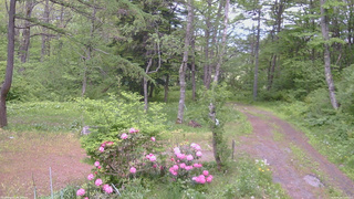 長野県菅平高原 ゆたか山荘 坂上 2026/05/26 13:15