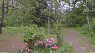 長野県菅平高原 ゆたか山荘 坂上 2026/05/26 14:15