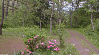 長野県菅平高原 ゆたか山荘 坂上 2026/05/26 14:30