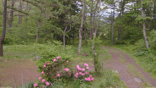 長野県菅平高原 ゆたか山荘 坂上 2026/05/26 14:45