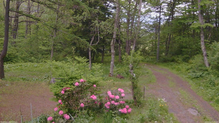 長野県菅平高原 ゆたか山荘 坂上 2026/05/26 15:00