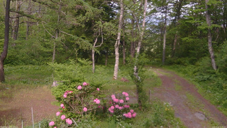 長野県菅平高原 ゆたか山荘 坂上 2026/05/26 15:30