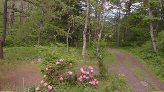 長野県菅平高原 ゆたか山荘 坂上 2026/05/26 15:45
