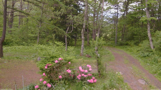 長野県菅平高原 ゆたか山荘 坂上 2026/05/26 16:15