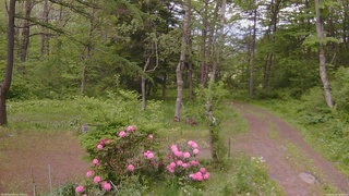 長野県菅平高原 ゆたか山荘 坂上 2026/05/26 16:30