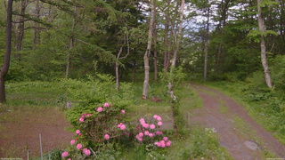 長野県菅平高原 ゆたか山荘 坂上 2026/05/26 17:00