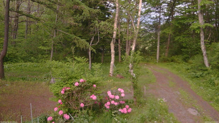長野県菅平高原 ゆたか山荘 坂上 2026/05/26 17:15