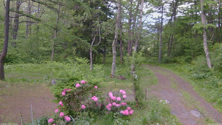長野県菅平高原 ゆたか山荘 坂上 2026/05/26 18:00