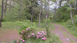 長野県菅平高原 ゆたか山荘 坂上 2026/05/26 18:15