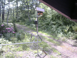 長野県菅平高原 ゆたか山荘 南側 2026/05/27 08:00