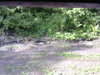 長野県菅平高原 ゆたか山荘 東側(坂下) 2026/05/27 07:15