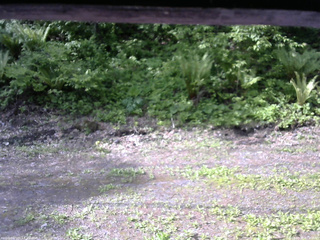 長野県菅平高原 ゆたか山荘 東側(坂下) 2026/05/27 07:30