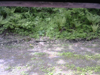 長野県菅平高原 ゆたか山荘 東側(坂下) 2026/05/27 09:00