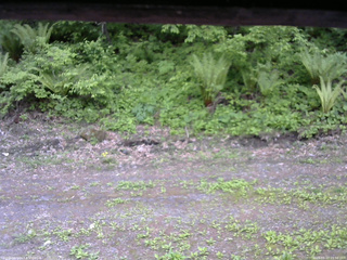 長野県菅平高原 ゆたか山荘 東側(坂下) 2026/05/27 15:30