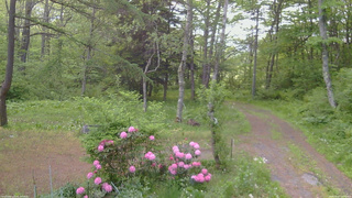 長野県菅平高原 ゆたか山荘 坂上 2026/05/27 05:00