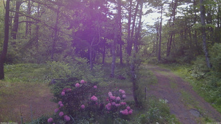 長野県菅平高原 ゆたか山荘 坂上 2026/05/27 07:00