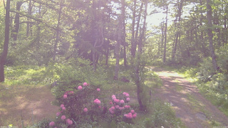 長野県菅平高原 ゆたか山荘 坂上 2026/05/27 07:15