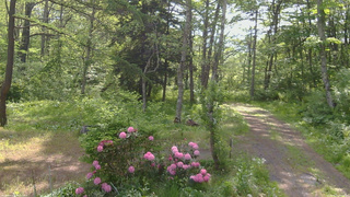 長野県菅平高原 ゆたか山荘 坂上 2026/05/27 08:00