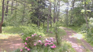 長野県菅平高原 ゆたか山荘 坂上 2026/05/27 08:45