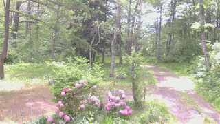 長野県菅平高原 ゆたか山荘 坂上 2026/05/27 09:00