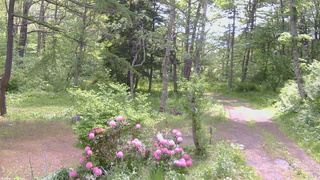 長野県菅平高原 ゆたか山荘 坂上 2026/05/27 09:45