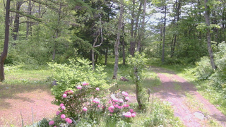 長野県菅平高原 ゆたか山荘 坂上 2026/05/27 10:30