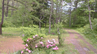 長野県菅平高原 ゆたか山荘 坂上 2026/05/27 12:15