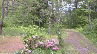 長野県菅平高原 ゆたか山荘 坂上 2026/05/27 13:30