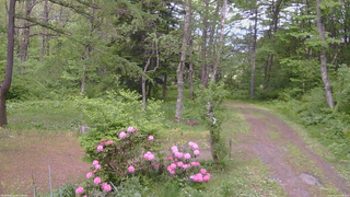 長野県菅平高原 ゆたか山荘 坂上 2026/05/27 14:00