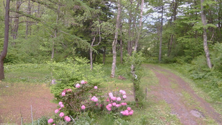 長野県菅平高原 ゆたか山荘 坂上 2026/05/27 14:30