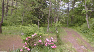 長野県菅平高原 ゆたか山荘 坂上 2026/05/27 15:15