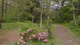 長野県菅平高原 ゆたか山荘 坂上 2026/05/27 15:30
