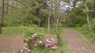 長野県菅平高原 ゆたか山荘 坂上 2026/05/27 15:45