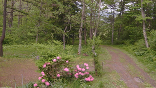 長野県菅平高原 ゆたか山荘 坂上 2026/05/27 16:30