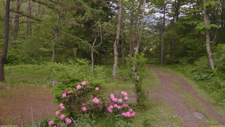 長野県菅平高原 ゆたか山荘 坂上 2026/05/27 16:45