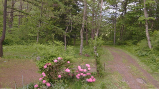 長野県菅平高原 ゆたか山荘 坂上 2026/05/27 17:00