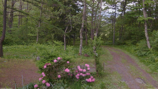 長野県菅平高原 ゆたか山荘 坂上 2026/05/27 17:30
