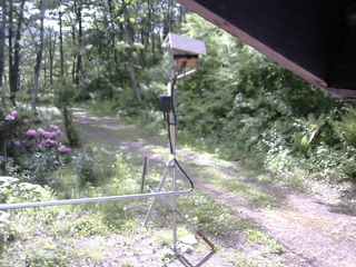長野県菅平高原 ゆたか山荘 南側 2026/05/28 08:00