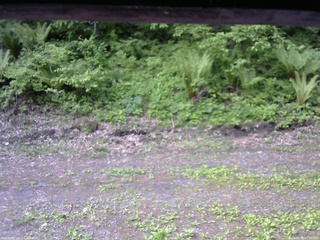 長野県菅平高原 ゆたか山荘 東側(坂下) 2026/05/28 07:30