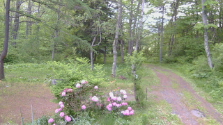 長野県菅平高原 ゆたか山荘 坂上 2026/05/28 05:15