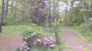 長野県菅平高原 ゆたか山荘 坂上 2026/05/28 05:30