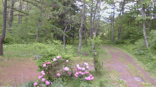 長野県菅平高原 ゆたか山荘 坂上 2026/05/28 06:30