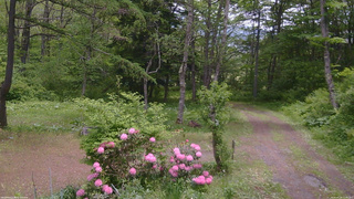 長野県菅平高原 ゆたか山荘 坂上 2026/05/28 11:30