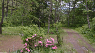 長野県菅平高原 ゆたか山荘 坂上 2026/05/28 11:45