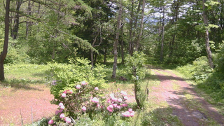 長野県菅平高原 ゆたか山荘 坂上 2026/05/28 12:00