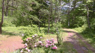 長野県菅平高原 ゆたか山荘 坂上 2026/05/28 12:45