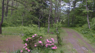 長野県菅平高原 ゆたか山荘 坂上 2026/05/28 14:00